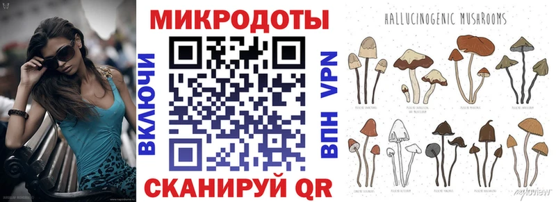 где купить наркотик  Канаш  Псилоцибиновые грибы мухоморы 