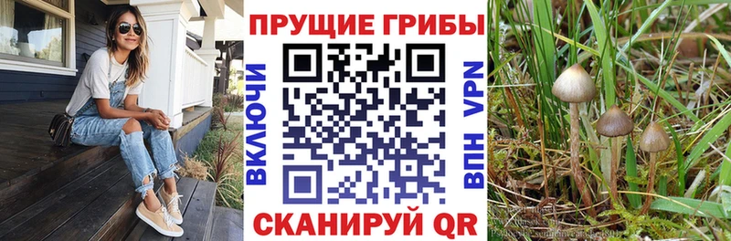 Галлюциногенные грибы GOLDEN TEACHER Канаш