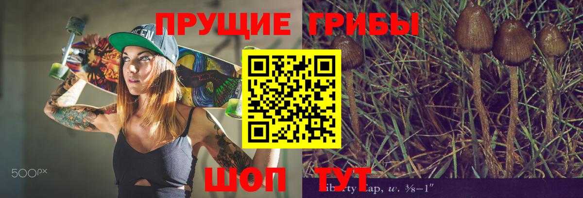 Псилоцибиновые грибы GOLDEN TEACHER  Вход с VPN  Канаш 