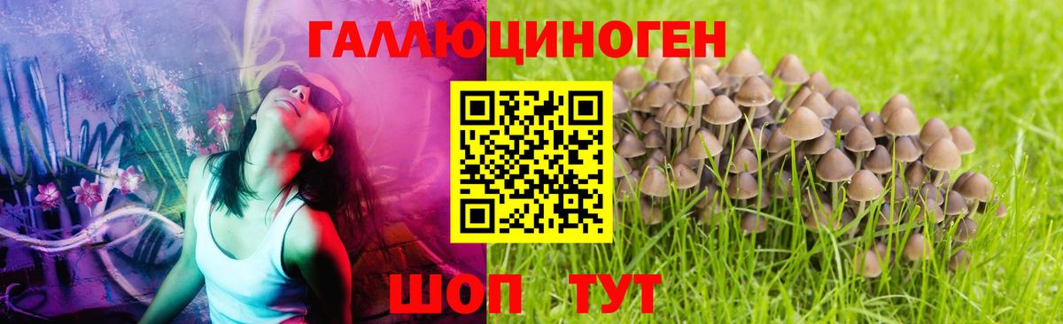 Галлюциногенные грибы мухоморы Канаш