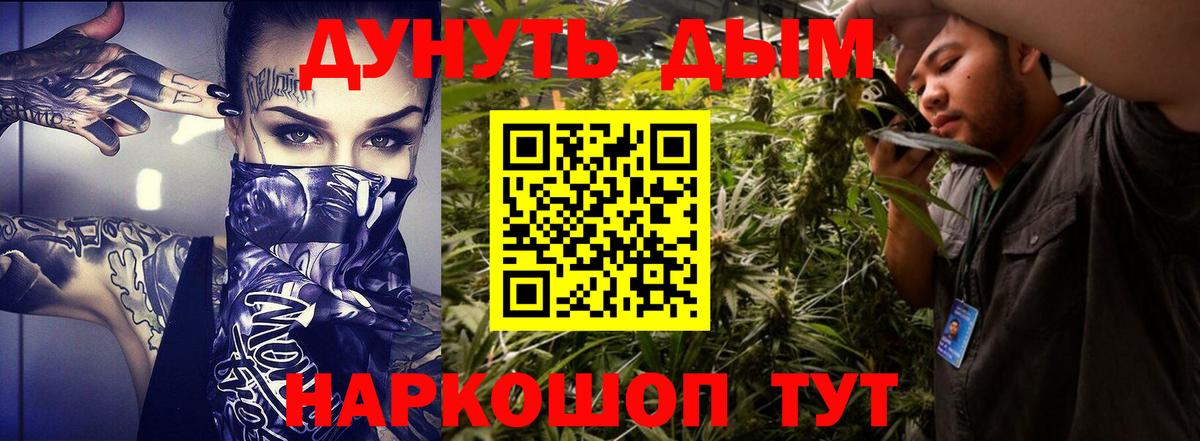 Бошки марихуана семена  Вход с VPN  Канабис OG Kush  Марихуана семена  Канаш 